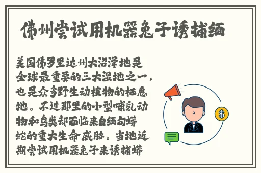 精品香蕉在线观看视频